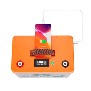 Akumulator LiFePO4 12V 100Ah